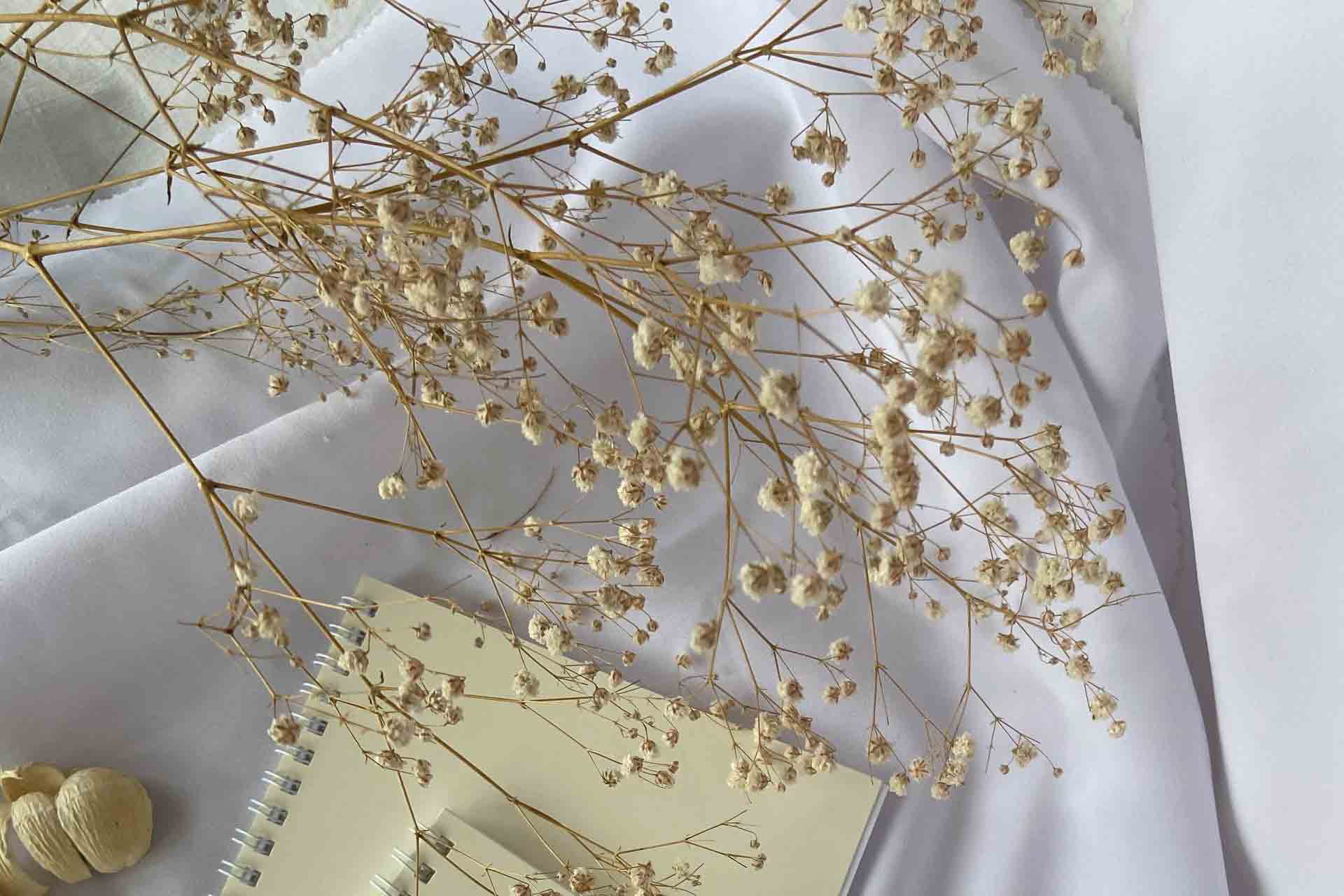 Flower On The Dream